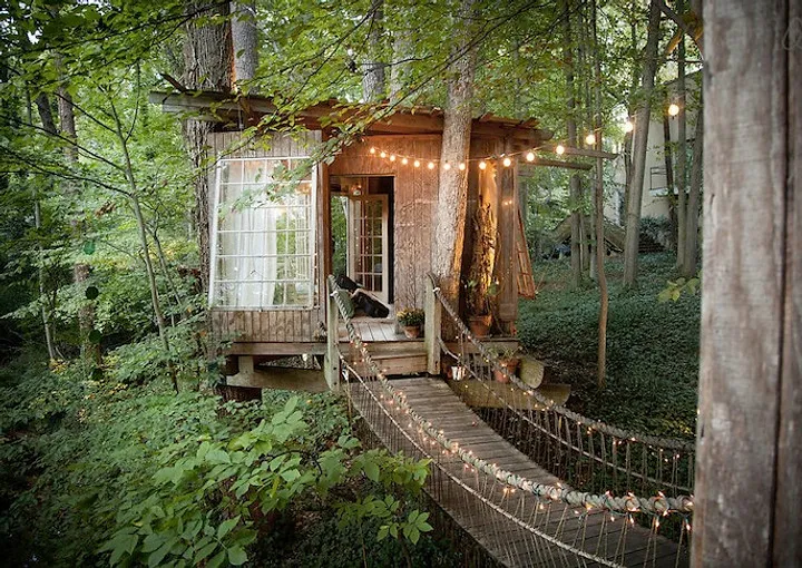 The Love Nest