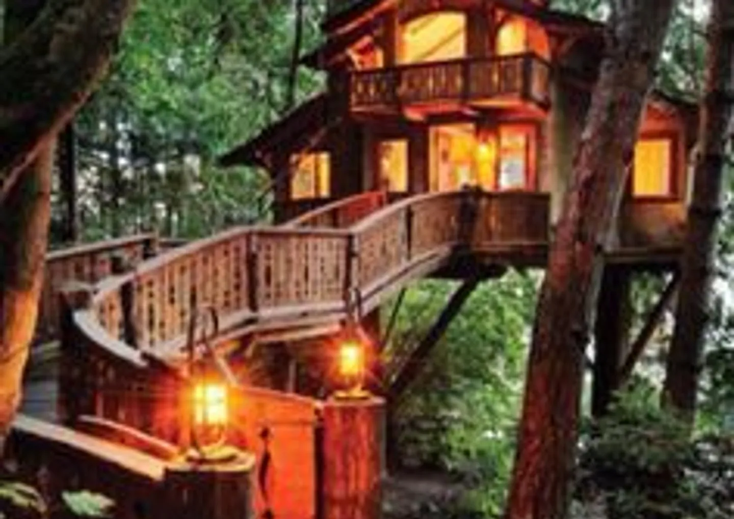 The TreeTop